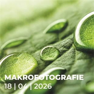 Workshop N695 Makrofotografie