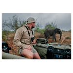 Swarovski Optik CL Companion III 8x30 safari brown