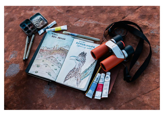 Swarovski Optik CL Companion III 10x30 orange