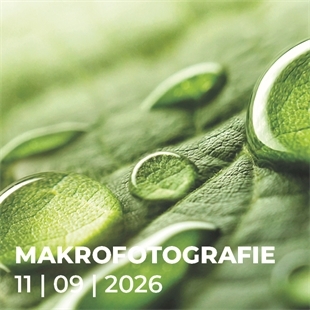 Workshop N733 Makrofotografie
