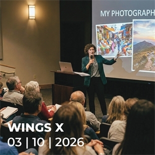 Workshop N736 Wings X
