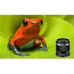 OM System M.Zuiko Digital ED 30mm F3.5 Macro