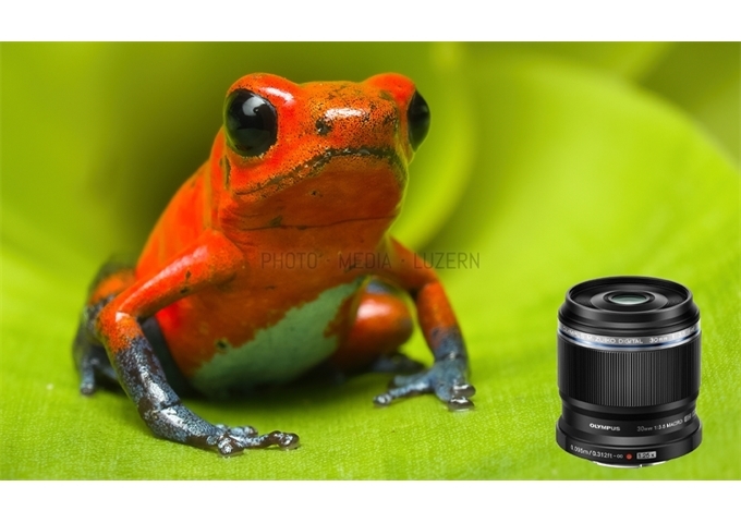 OM System M.Zuiko Digital ED 30mm F3.5 Macro