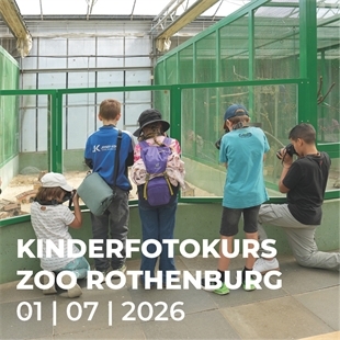 Workshop N737 für Kinder im Zoo