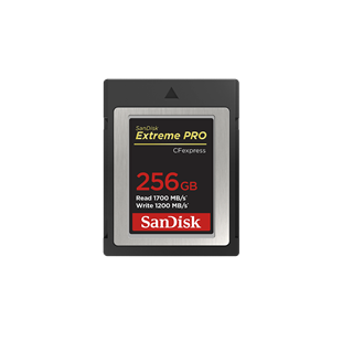 SanDisk CFexpress B Extreme Pro 256GB