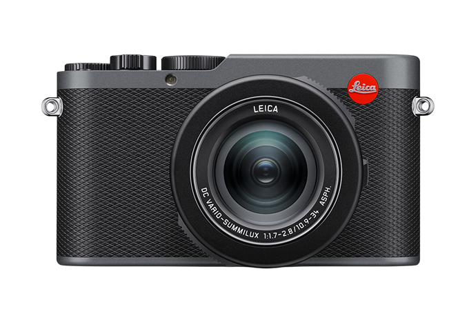 Leica D-Lux 8 Metal Gray 19213