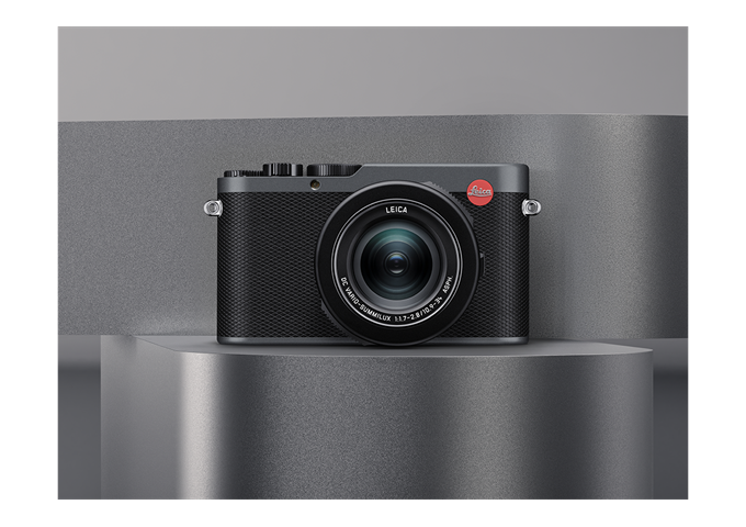 Leica D-Lux 8 Metal Gray 19213