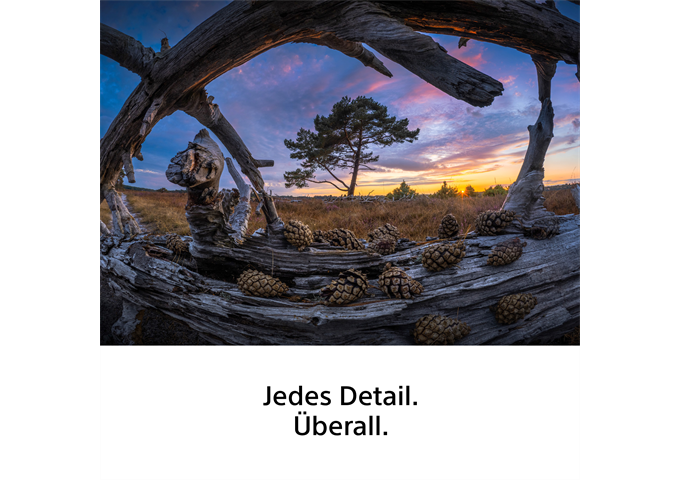 Sony SEL-814 F3.5 Fisheye G