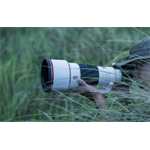 Sony SEL-300 F2.8 GM OSS