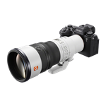 Sony SEL-600F63GMW Sony SEL-600F63GMW