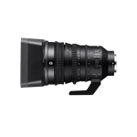 Sony SELP 18-110mm F4 G