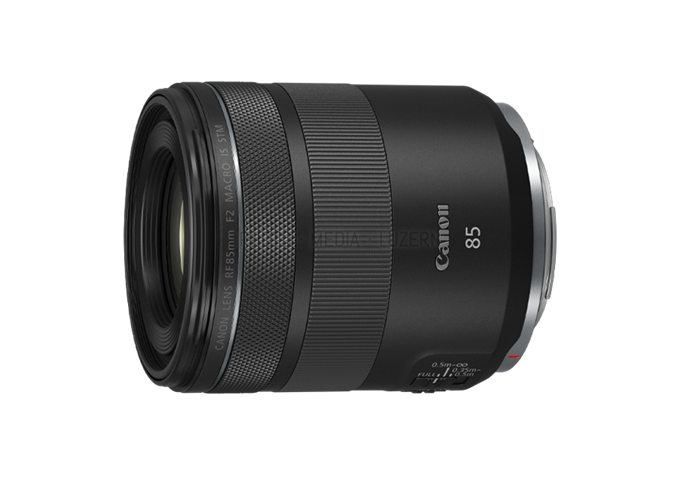 Canon RF 85mm F2 IS STM Macro