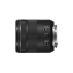 Canon RF 85mm F2 IS STM Macro