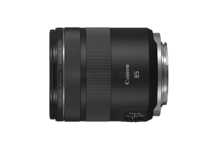 Canon RF 85mm F2 IS STM Macro