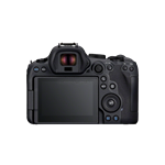 Canon EOS R6 Mark II + RF 24-105mm F4-7.1