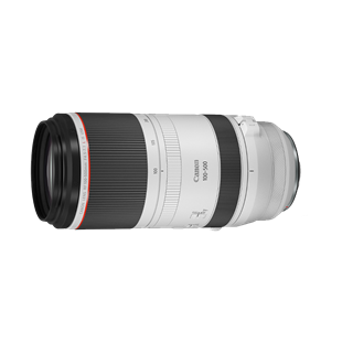 Canon RF 100-500mm F4.5-7.1 L IS USM