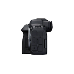 Canon EOS R6 Mark II + RF 24-105mm F4 L IS USM