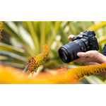 Nikon Nikkor Z 105mm F2.8 S MC VR