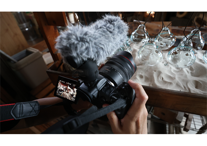 Canon RF 10-20mm F4 L IS STM
