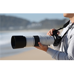 Canon RF 200-800mm F6.3-9 IS USM