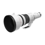 Canon RF 800mm f/5.6 L IS USM