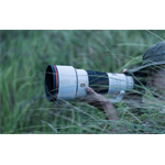 Sony SEL-300 F2.8 GM OSS