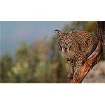 Canon EOS R7 + RF 18-150mm F3.5-6.3
