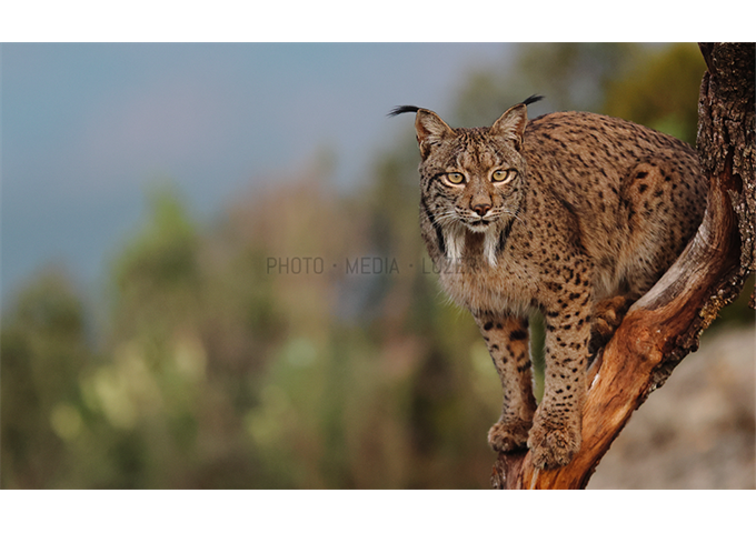 Canon EOS R7 + RF 18-150mm F3.5-6.3