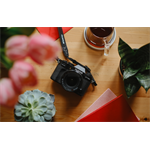 FUJIFILM X-T50 + XF 16-50mm