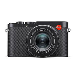 Leica D-Lux 8, 19191