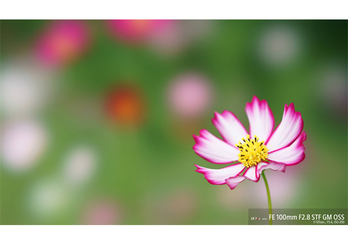 Sony SEL-100 F2.8 GM STF OSS