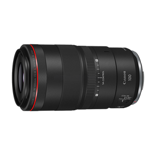 Canon RF 100mm F2.8 L IS USM Macro