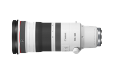Canon RF 100-300mm F2.8 L IS USM