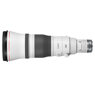 Canon RF 600mm F4L IS USM