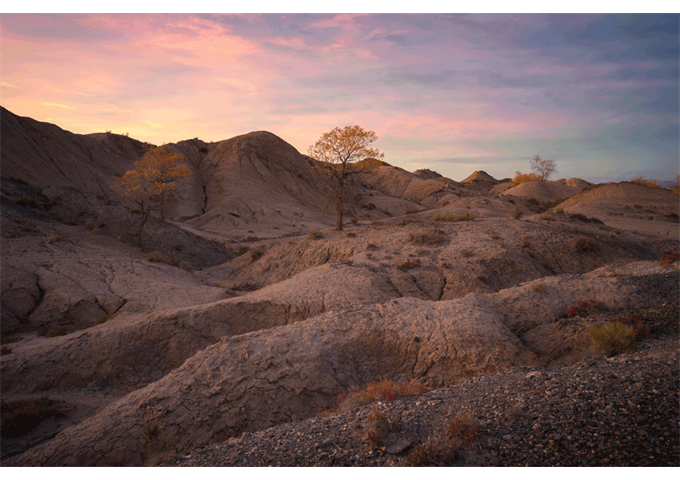 Hasselblad XCD 20-35mm E F3.2-4.5