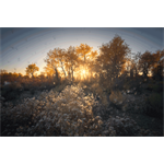 Hasselblad XCD 20-35mm E F3.2-4.5