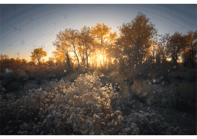 Hasselblad XCD 20-35mm E F3.2-4.5