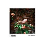 Harman Phoenix 200 120