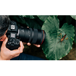 Canon RF 100mm F2.8 L IS USM Macro