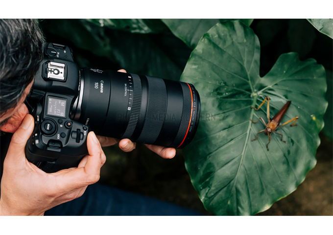 Canon RF 100mm F2.8 L IS USM Macro