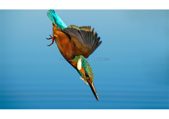 Sony SEL-70200 GM2 F2.8