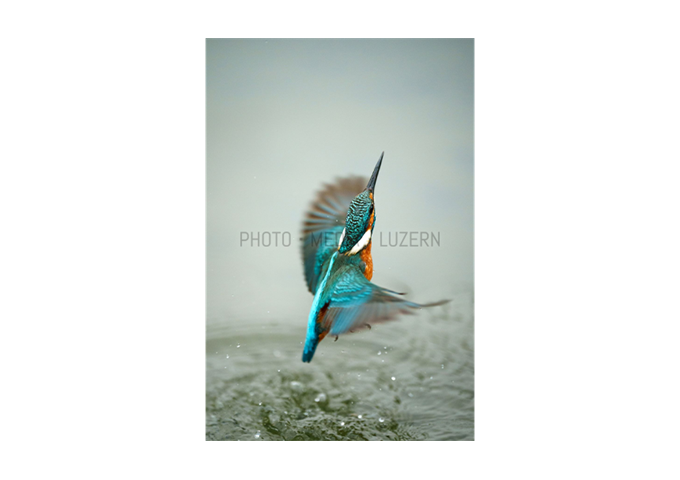 Sony SEL-70200 GM2 F2.8