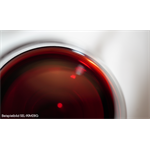Sony SEL-90 F2.8 G Macro