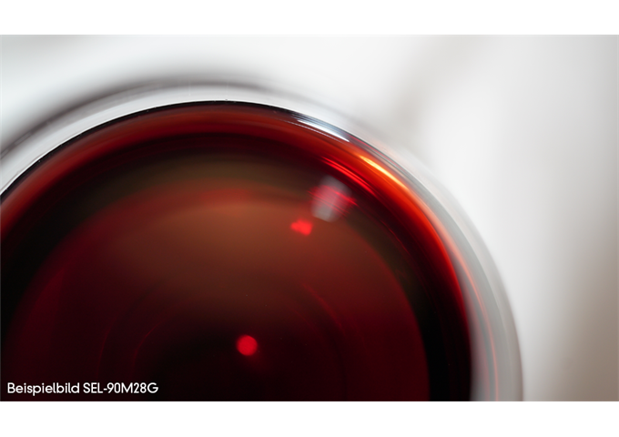 Sony SEL-90 F2.8 G Macro